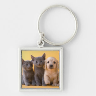 Puppies van de Russische blauw Kittens en Dachshun Sleutelhanger