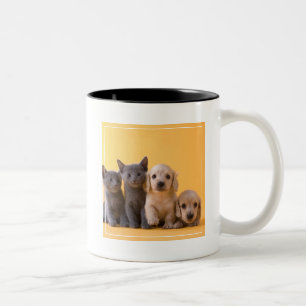 Puppies van de Russische blauw Kittens en Dachshun Tweekleurige Koffiemok