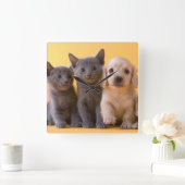 Puppies van de Russische blauw Kittens en Dachshun Vierkante Klok (Huis)