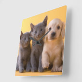 Puppies van de Russische blauw Kittens en Dachshun Vierkante Klok (Hoek)