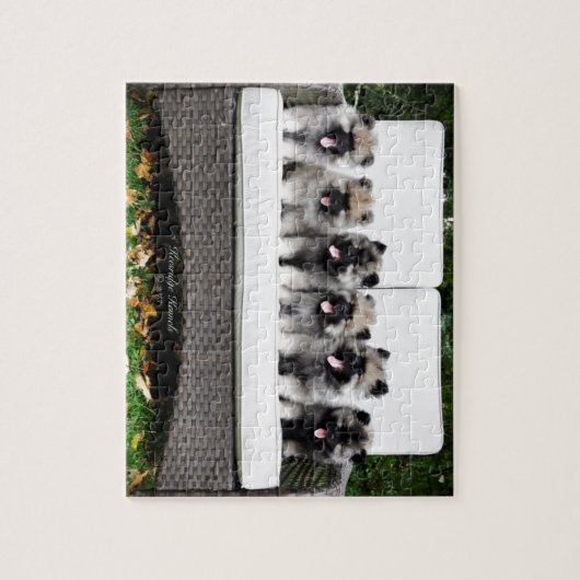 Puppies van keesdoorn legpuzzel (Verticaal)