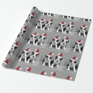puppies van Kerstmis Boston Terrier Cadeaupapier