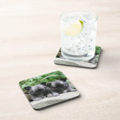 Puppies van Long Hazard Chihuahua Bier Onderzetter (Rechterzijde)