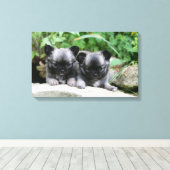 Puppies van Long Hazard Chihuahua Canvas Afdruk (Insitu (Houten vloer))