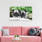 Puppies van Long Hazard Chihuahua Canvas Afdruk (Insitu (Woonkamer))