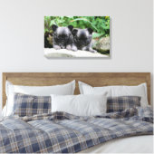 Puppies van Long Hazard Chihuahua Canvas Afdruk (Insitu (Slaapkamer))