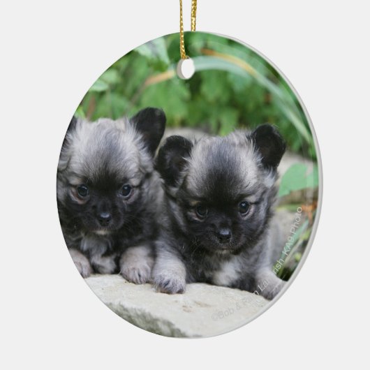 Puppies van Long Hazard Chihuahua Keramisch Ornament (Links)