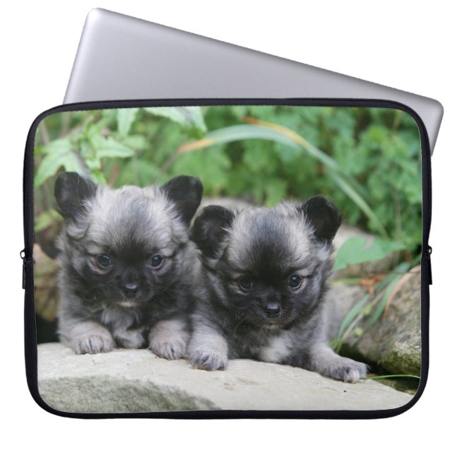 Puppies van Long Hazard Chihuahua Laptop Sleeve (Voorkant)