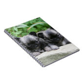 Puppies van Long Hazard Chihuahua Notitieboek (Rechterzijde)