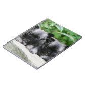 Puppies van Long Hazard Chihuahua Notitieboek (Linkerzijde)