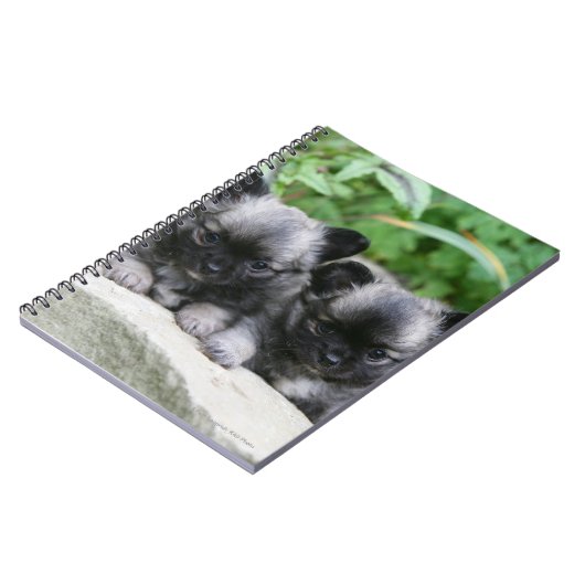 Puppies van Long Hazard Chihuahua Notitieboek (Linkerzijde)