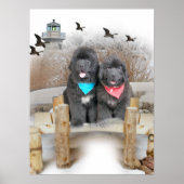 Puppies van Newfoundland op het strand Poster (Voorkant)