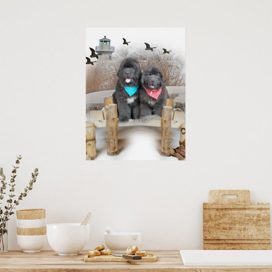 Puppies van Newfoundland op het strand Poster (Keuken)