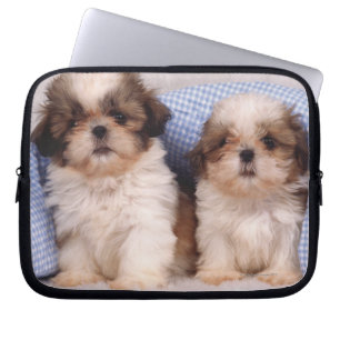 Puppies van Shih Tzu onder een gecontroleerde deke Laptop Sleeve