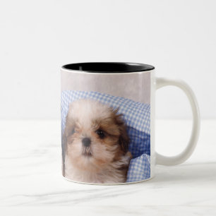 Puppies van Shih Tzu onder een gecontroleerde deke Tweekleurige Koffiemok