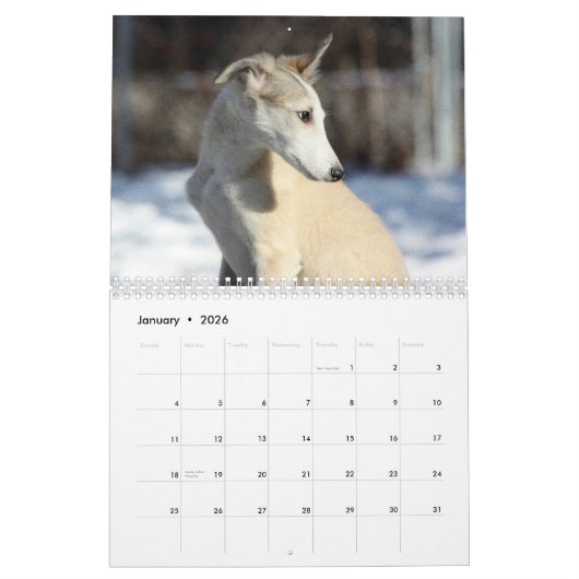 puppies van Silken Windhound 2011 Kalender (Jan 2026)