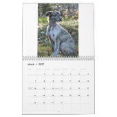 puppies van Silken Windhound 2011 Kalender (Mar 2027)