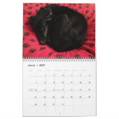 puppies van Silken Windhound 2015 Kalender (Mar 2027)