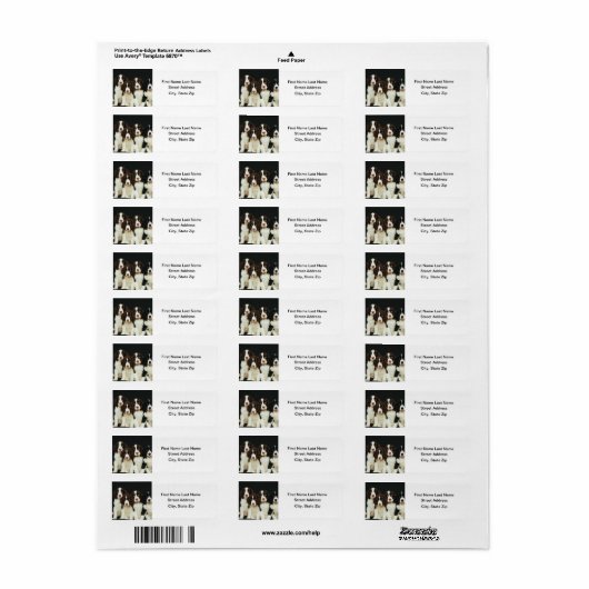 Puppies van Springer Spaniel (2) Etiket (Full Sheet)