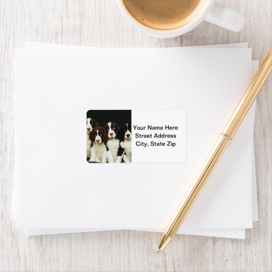 Puppies van Springer Spaniel (2) Etiket (Insitu)