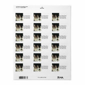 Puppies van Springer Spaniel (2) Etiket (Full Sheet)