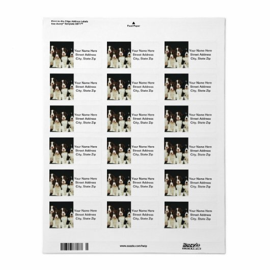 Puppies van Springer Spaniel (2) Etiket (Full Sheet)