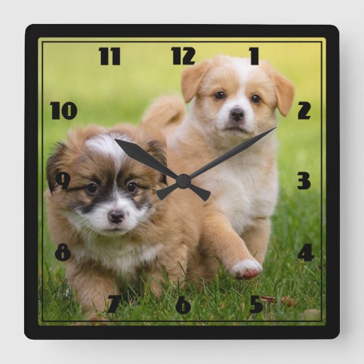 Puppies Vierkante Klok (Voorkant)