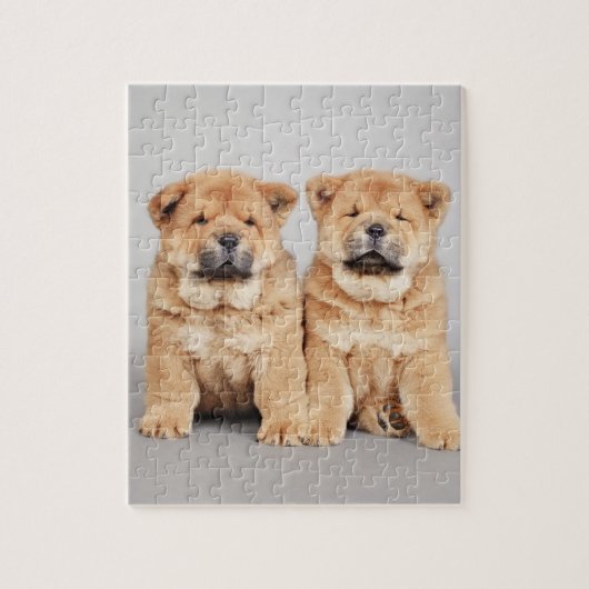 Puppies voor het kotteren van cellen legpuzzel (Verticaal)