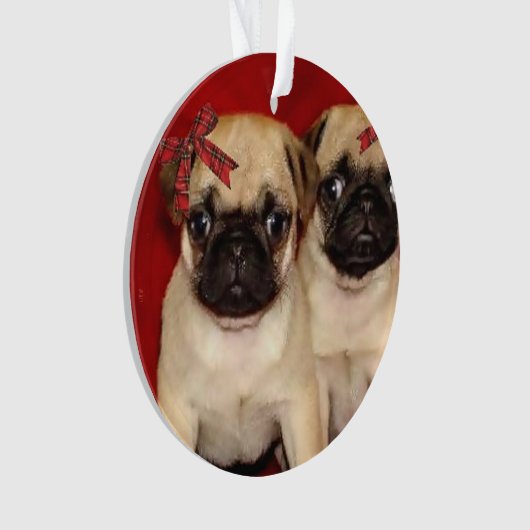 Puppies voor kerstbekers ornament (voorkant)