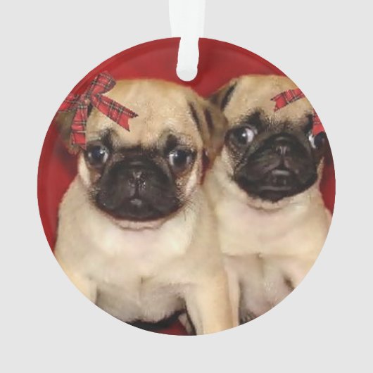 Puppies voor kerstbekers ornament (achterkant)