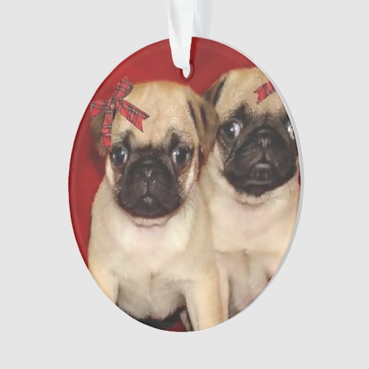 Puppies voor kerstbekers ornament (voorkant)