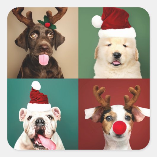 Puppies voor kerstkerstrenrenrenrendieren vierkante sticker (Voorkant)