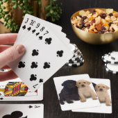 puppies voor labradors speelkaarten (Insitu)