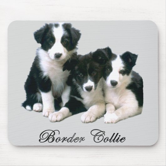 Puppies voor randkolonie muismat (Voorkant)