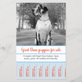 Puppies voor verkopen flyer