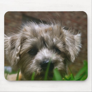 Pupppy-Muismat Muismat