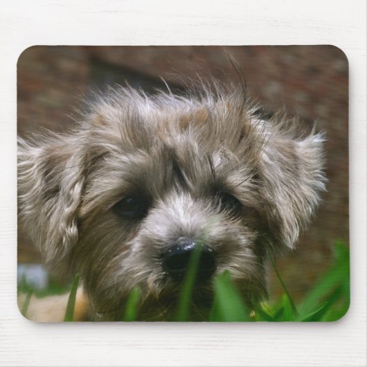 Pupppy-Muismat Muismat (Voorkant)