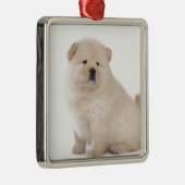 puppup hond met een schattige witte chow metalen ornament (Rechts)