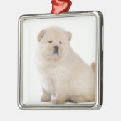 puppup hond met een schattige witte chow metalen ornament (Links)