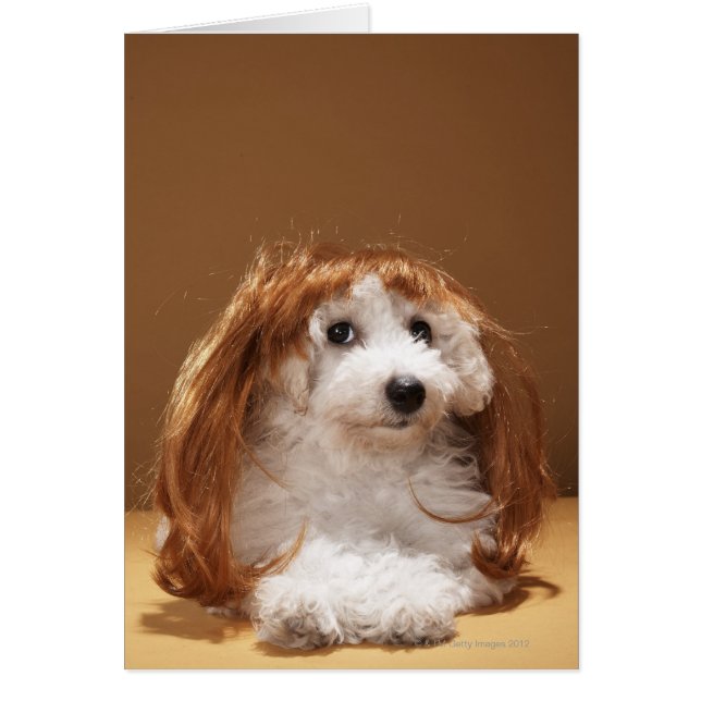 Puppus met ginger wig (Voorkant)