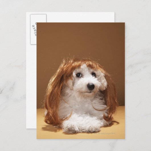 Puppus met ginger wig briefkaart (Voorkant / Achterkant)