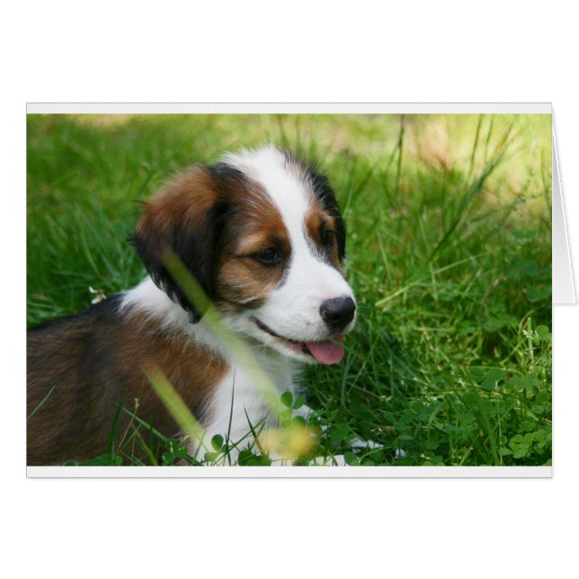 Puppy (Voorkant Horizontaal)