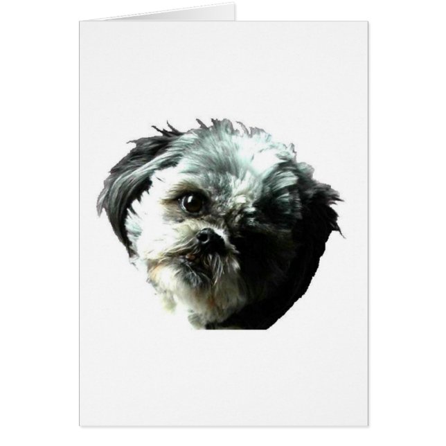 puppy (Voorkant)