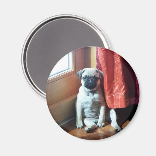 Puppy 007 magneet (Voorkant / Achterkant)