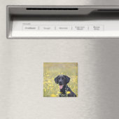 Puppy 16 maanden 2 magneet (Insitu (Vaatwasser))