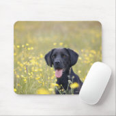 Puppy 16 maanden 2 muismat (Met muis)