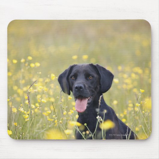 Puppy 16 maanden 2 muismat (Voorkant)