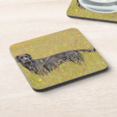 Puppy 16 maanden bier onderzetter (Linkerzijde)