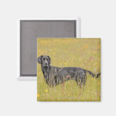 Puppy 16 maanden magneet (Voorkant / Achterkant)