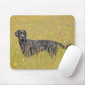 Puppy 16 maanden muismat (Met muis)